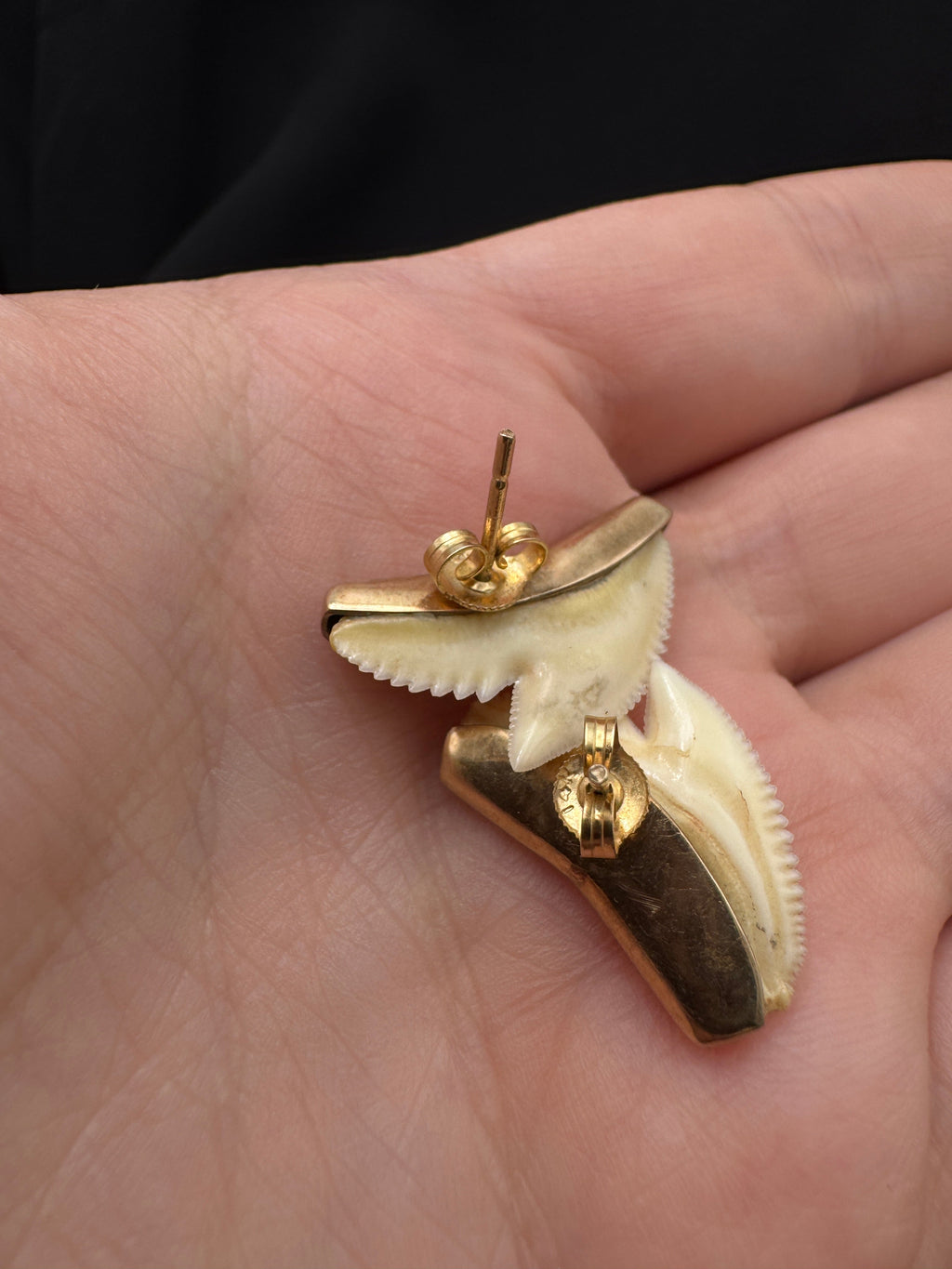Vintage 14K Gold Shark Tooth Earrings