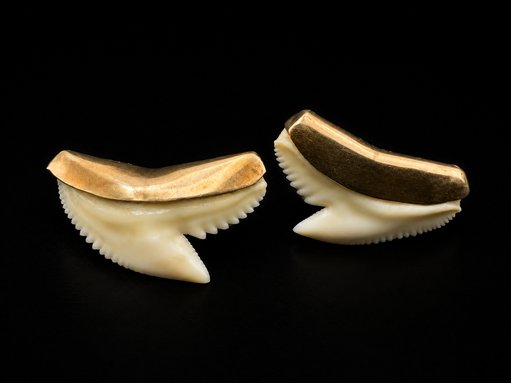 Vintage 14K Gold Shark Tooth Earrings